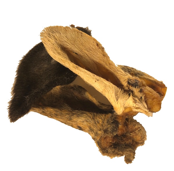 Furry Lamb Ears x10 Carniraw Ltd